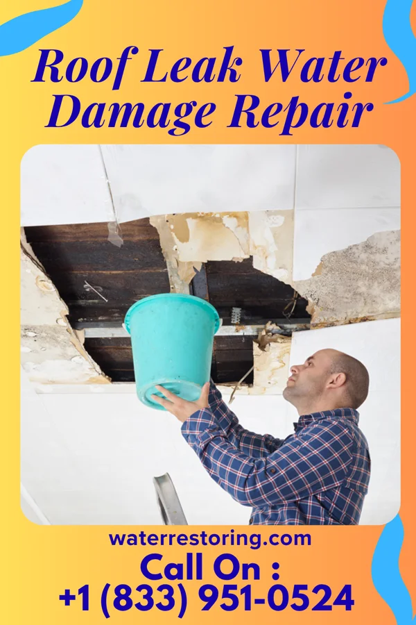 Roof Leak Water Damage Repair in Blum, TX